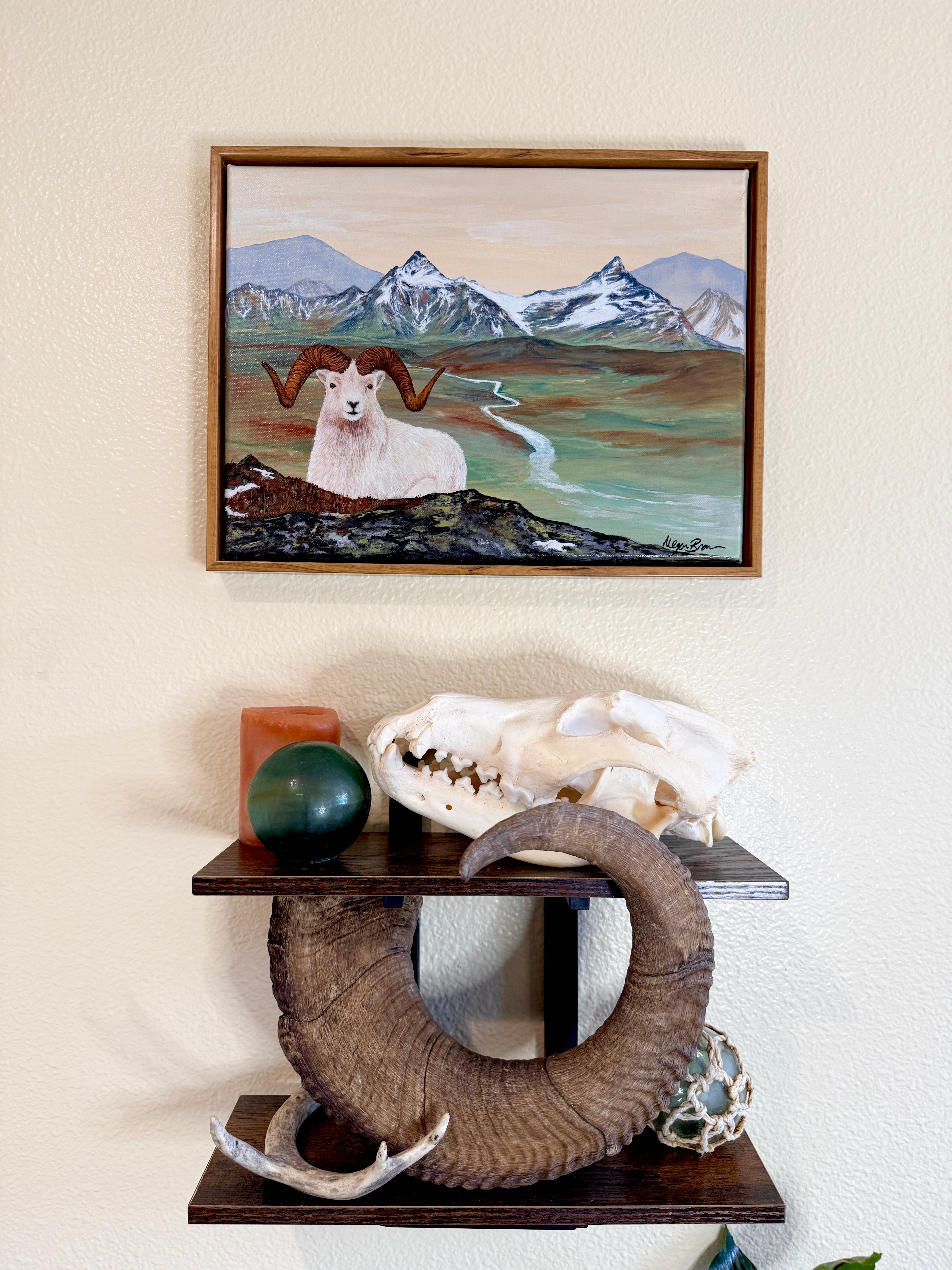 Alaskan Dall Ram