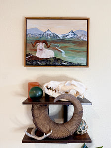 Alaskan Dall Ram
