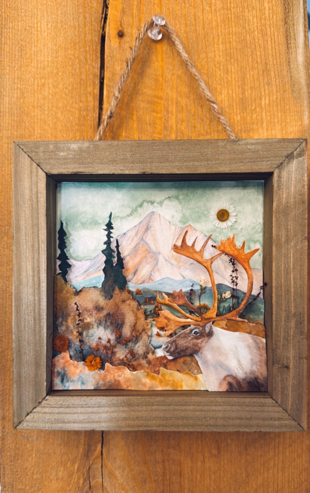 Caribou 3D Shadowbox