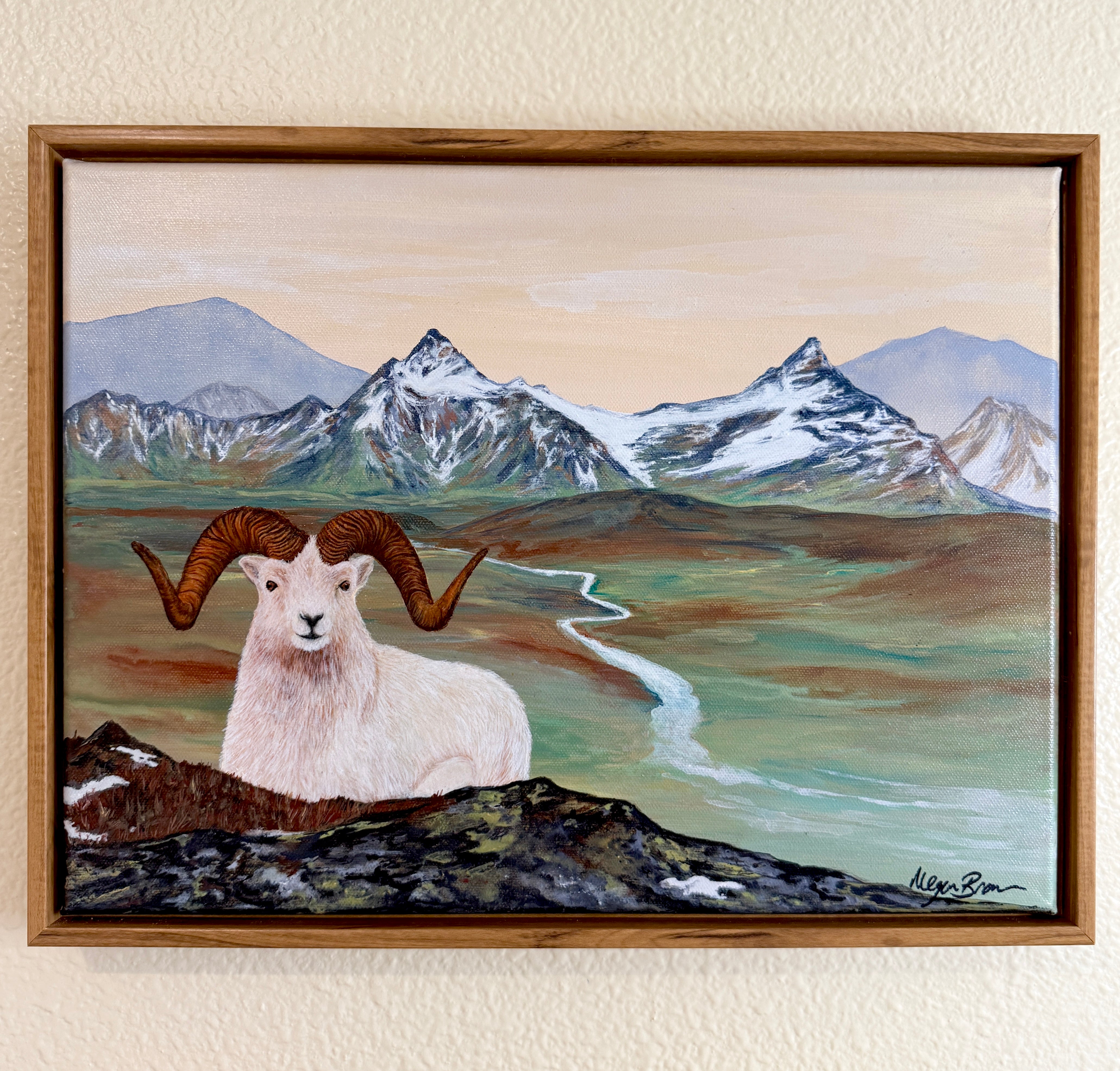 Alaskan Dall Ram