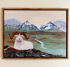 Alaskan Dall Ram