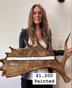 Custom Painted Moose Paddle