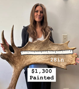 Custom Painted Moose Paddle
