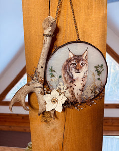 Glass Lynx Antler