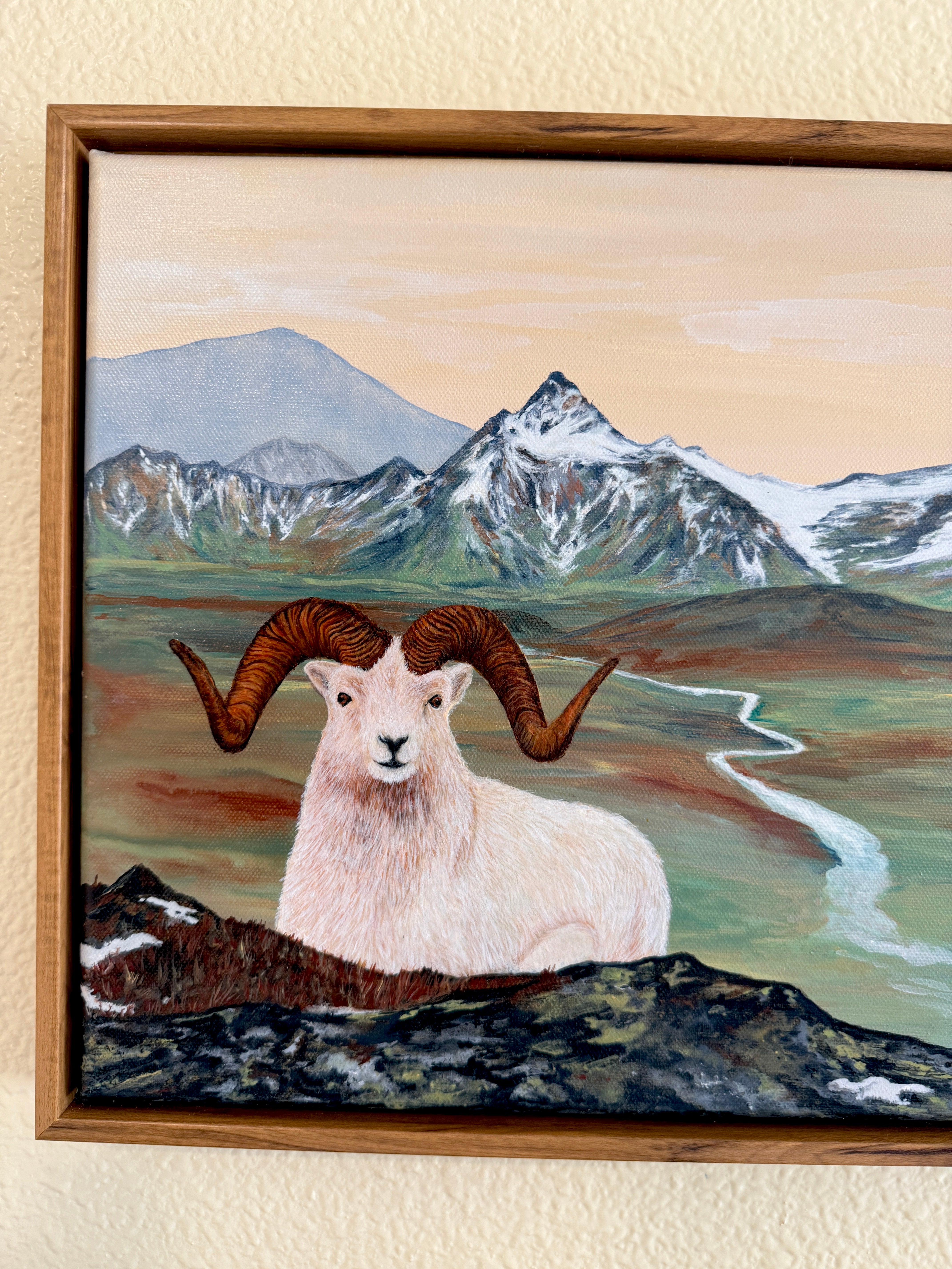 Alaskan Dall Ram
