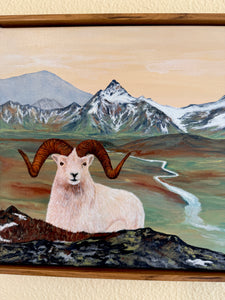 Alaskan Dall Ram